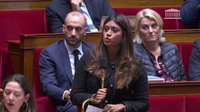 IVG dans la Constitution: la députée Prisca Thevenot dénonce "une volatilité dans la géométrie féministe" de LFI