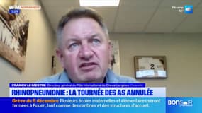 Rhinopneumonie équine: la Tournée des As annulée à Deauville