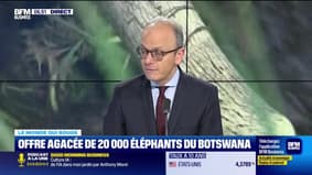 Benaouda Abdeddaïm : Offre agacée de 20 000 éléphants du Botswana - 04/04