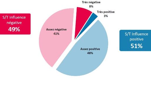 Selon notre sondage, 49% des Français estiment que les Verts ont une influence négative sur le gouvernement