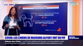 Val-de-Marne: les chiens peuvent-ils détecter le Covid aussi bien qu'un test PCR?