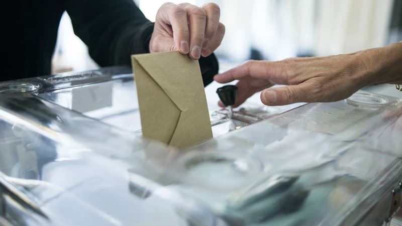 Les législatives se déroulent les 11 et 18 juin prochains.