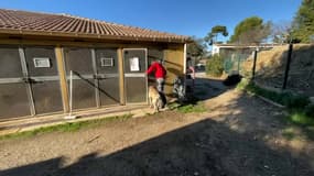 Nutsu a été abandonné au mois de septembre.