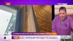Un village du Loiret enfin débarrassé de ses mouches envahissantes