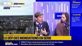 Crues historiques à Rennes: "Redonner aux rivières leur circuit naturel"
