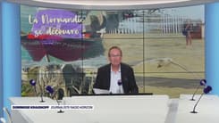 La Normandie se découvre : des lunettes en coquilles