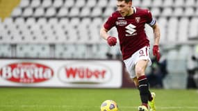 Andrea Belotti - Torino