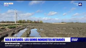 Sols saturés: les semis nordistes retardés