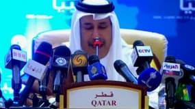 Le Premier ministre qatari, Hamad ben Jassem Al-Thani, a annoncé la création d'un fonds de 2 milliards d'euros à destination des PME grecques.