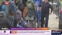 Manifestants blessés à Sainte-Soline: plaintes déposées 