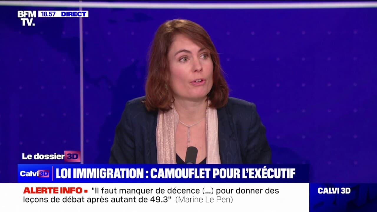 Motion De Rejet Du Projet De Loi Immigration: "Un Refus Pur Et Simple ...