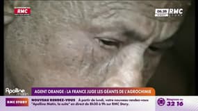 Agent orange : la France juge les géants de l'agrochimie