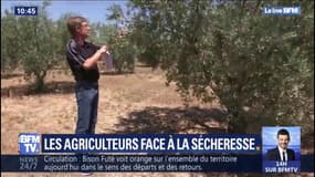 Face à la sécheresse, la technologie vole au secours des agriculteurs