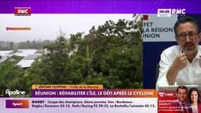 Réunion : réhabiliter l'île, le défi après le cyclone