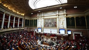 L'Assemblée nationale le 1er avril 2025.