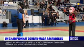 Mandelieu-la-Napoule: un championnat de krav-maga organisé ce dimanche