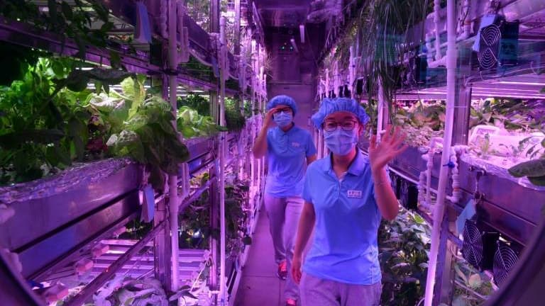 Des étudiants chinois volontaires dans le module nommé Yuegong-1 ("Palais lunaire-1") en mai 2017