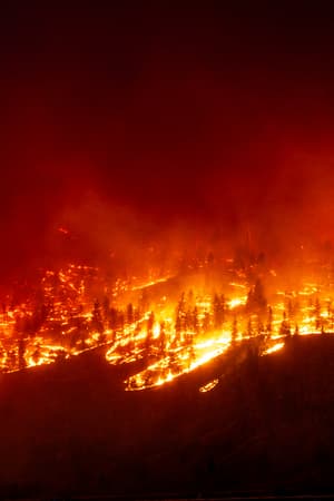 Incendies, inondations... L'été 2023, une saison de catastrophes mondiales dignes de "l'apocalypse"