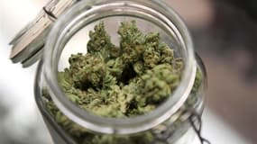 Les électeurs du Colorado se sont prononcés mardi en faveur de la légalisation de l'usage de la marijuana.