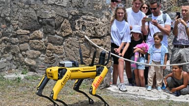 Spot le chien-robot, dans les ruines de Pompéi en juin 2022