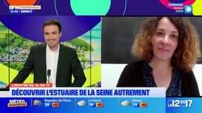 Seine-Maritime: découvrir l'estuaire de la Seine autrement