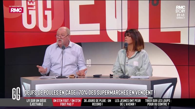 Oeufs de poule en cage: 70% des supermarchés continuent d'en vendre