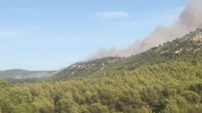 Spectaculaire feu de forêt dans les Bouches-du-Rhône - Témoins BFMTV