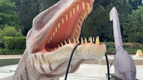 Une partie des installations du projet de parc Dinopedia, à Trévoux (Ain), le 14 mai 2024.