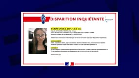 Léa, 16 ans, est recherchée dans l'Aisne depuis le 23 janvier 2026 dans le cadre d'une enquête pour disparition inquiétante.