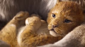 Le Roi Lion - Capture d'écran 