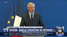 Bruno Le Maire: "Sa libération permettra à Carlos Ghosn de se défendre librement et sereinement"