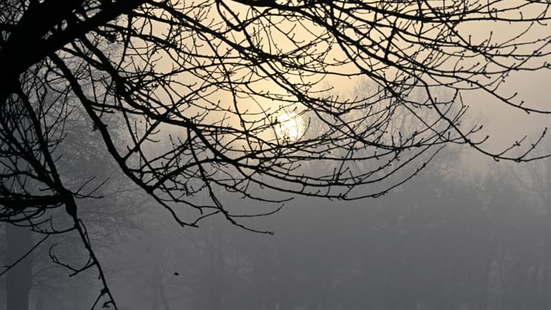 Jusqu'à 16°C à Nice, -11°C dans la Marne: le grand écart des températures en France jusqu'au Nouvel an