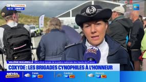 Le journal de 18h du vendredi 29 août 2025