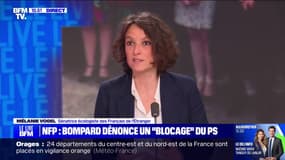 Le choix d'un Premier ministre issu de la société civile "peut être une solution", selon Mélanie Vogel, sénatrice écologiste 
