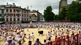 Les Fêtes de Bayonne entre carnaval, feria taurine et festival folklorique