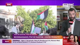 Voix de droite - Reconnaissance / Etat de Palestine : contre-productif? 