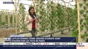 Commerce 2.0 : La plus grande ferme urbaine d'Europe vient d'ouvrir sur les toits de Paris par Anissa Sekkai - 02/07