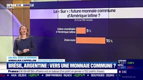 Brésil, Argentine : vers une monnaie commune ?