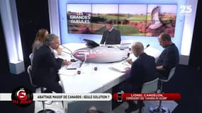 La GG du jour: Grippe aviaire: L'abattage massif de canards est-il la seule solution ? - 21/02