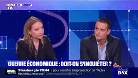 "Votre parti politique a soutenu monsieur Trump" : l'échange tendu entre Aurore Lalucq (Place publique) et Aleksandar Nikolic (RN) 