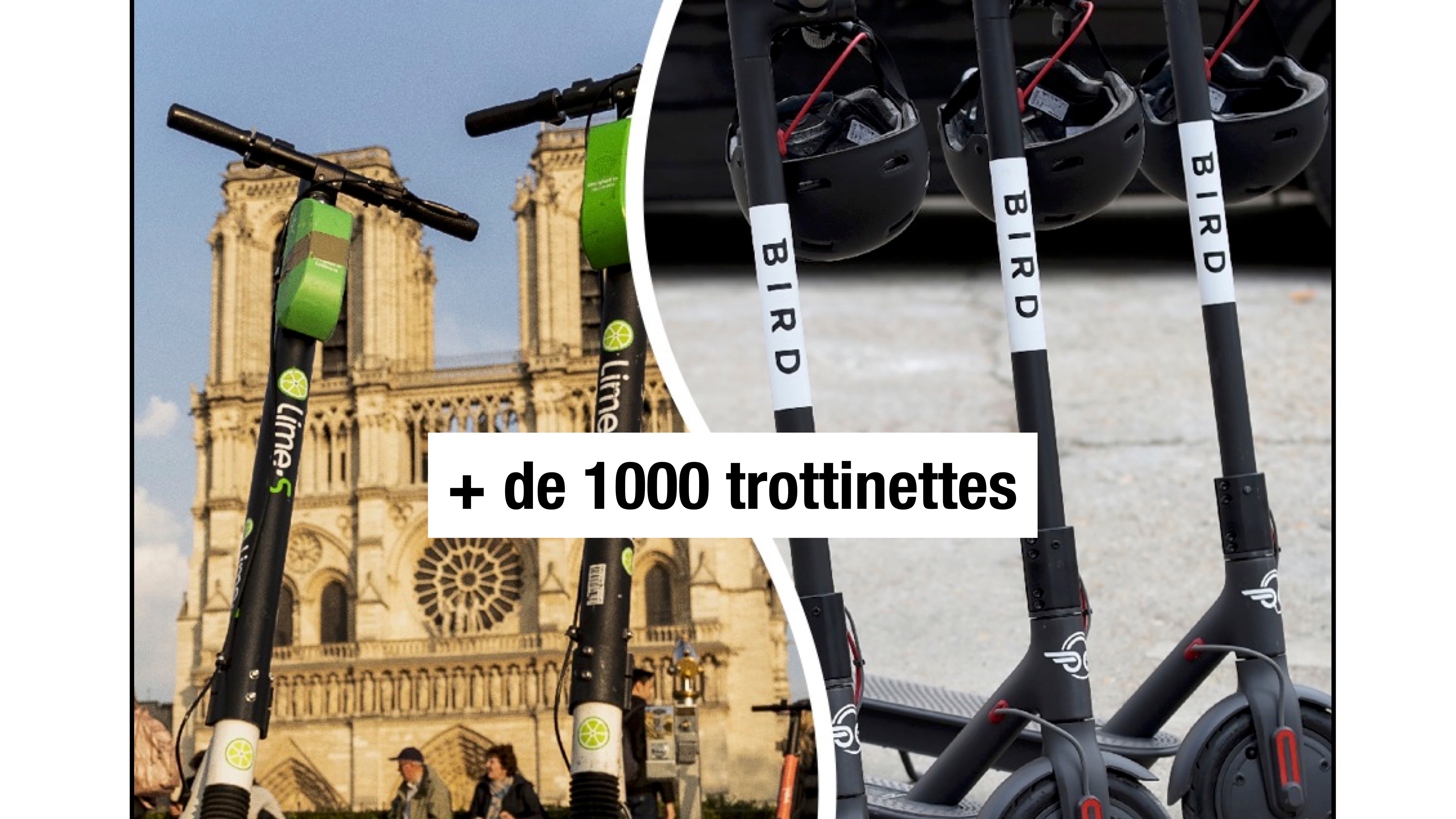 Des trottinettes Lime et Bird. Des trottinettes Lime et Bird.