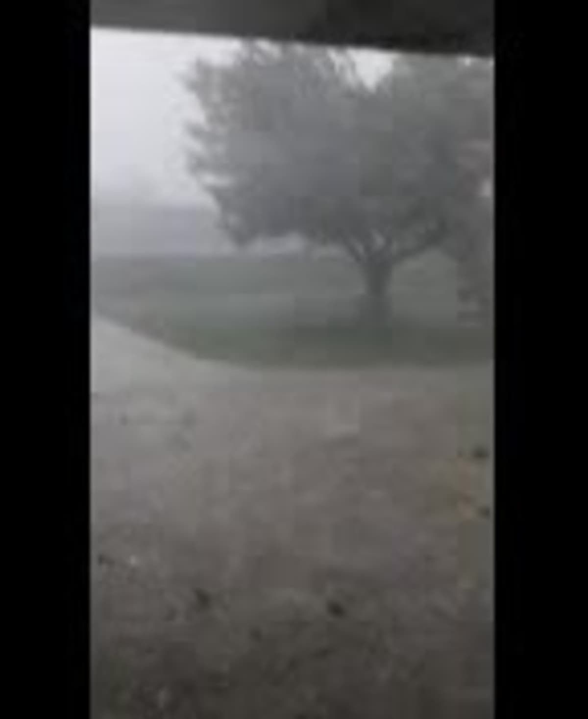 placeholder video
