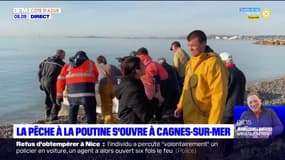 Cagnes-sur-Mer: la pêche à la poutine s'est ouverte