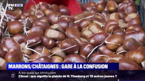 Marrons/châtaignes: lequel des deux se mange?