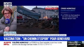 Dermatose nodulaire: "Nous vaccinerons entre 600.000 et un million de bovins", assure Annie Genevard, ministre de l'Agriculture