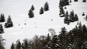 Une piste de ski de la station du Mourtis dans les Pyrénées, le 9 janvier 2024. (photo d'illustration)
