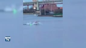 New York: un hélicoptère de tourisme s'écrase dans l'East River, causant la mort de tous les passagers