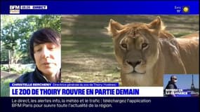 Yvelines: le safari du zoo de Thoiry rouvre à partir de samedi, dans le respect des règles sanitaires