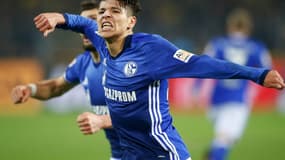 Amine Harit