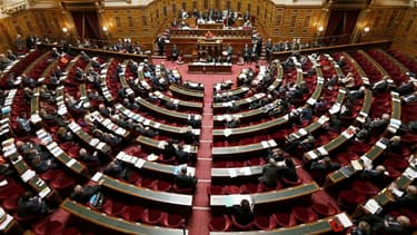 Le Sénat a adopté dans la nuit de samedi à dimanche le projet de loi sur la sécurisation de l'emploi, déjà voté par l'Assemblée nationale, après que le gouvernement ait demandé un vote bloqué pour accélérer les débats. /Photo prise le 4 avril 2013/REUTERS
